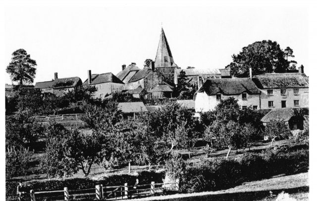 WW before houses built in apple orchard.jpg