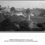 WW close up Southview Waterside Cottage and Oak Ash Thorn 1910