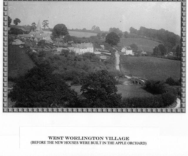 WW close up Southview Waterside Cottage and Oak Ash Thorn 1910.jpg