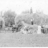 Hay Harvest 1908