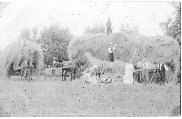 FA 1 Hay Harvest 1908.jpg