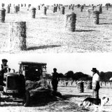 Yetheridge 1946
