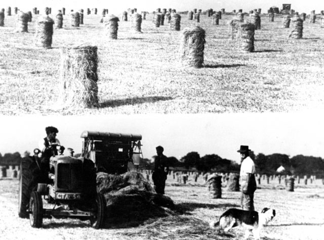 FA25 Yetheridge 1946.jpg
