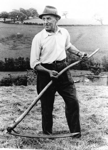 FA27 Bert Wills father of Audrey Tanner.jpg