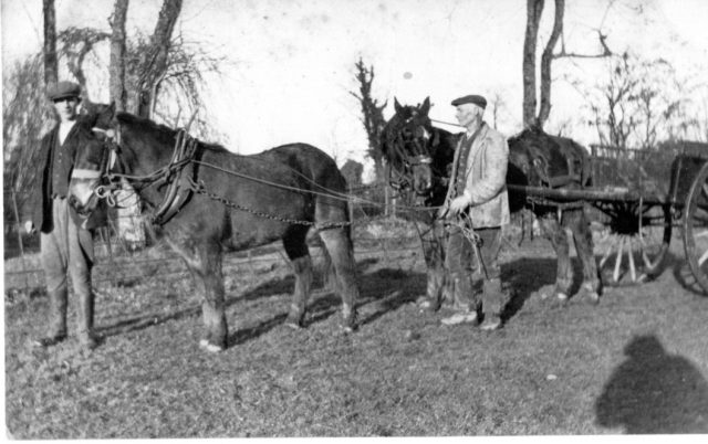 FA4 Early Photo of Two men with horses and cart. Identity and date unknown.jpg