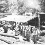 Wood Yard Circa 1909