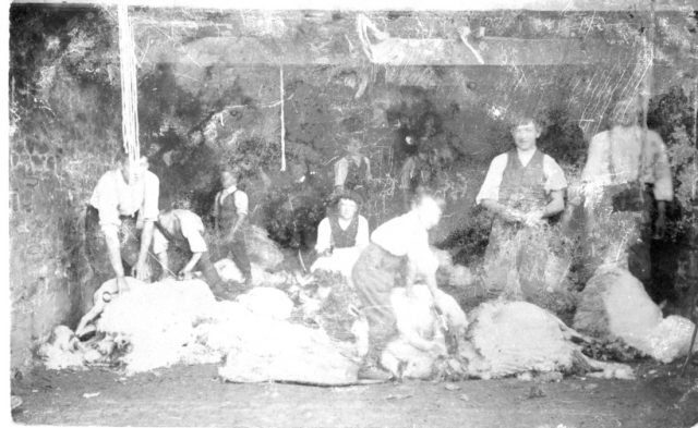 FA6a Sheep Shearing Class Town Farm West Worlington.jpg