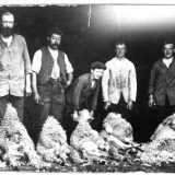 Sheep shearing class Town Farm West Worlington