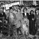 Witheridge carnival 1952