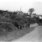 Horse Bridge