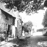 Beech Cottage, East Worlington