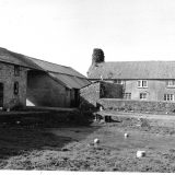 Pedley Barton