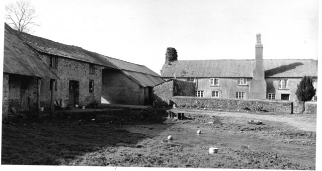 Fa19 Pedley Barton.jpg