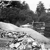 maurice butt 6 timber pile
