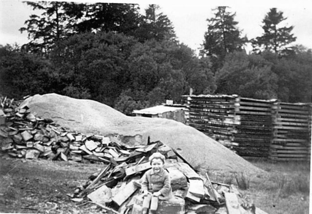 maurice butt 6 timber pile.jpg