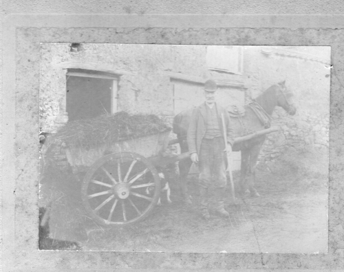 Rull-Farmyard, West Worlington