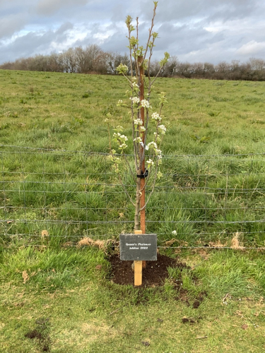 Alison and Mark Eden