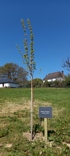 Jonny and Lindsey Harford