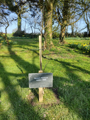 Mark and Carol Shipley