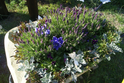 Nina and Leon Gooding 2