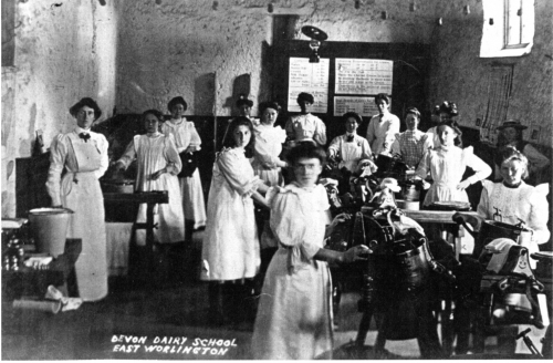 ED-DS-1-Dairy-School