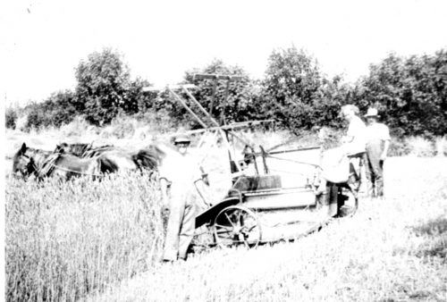 FA23-Yetheridge-Cutting-Corn